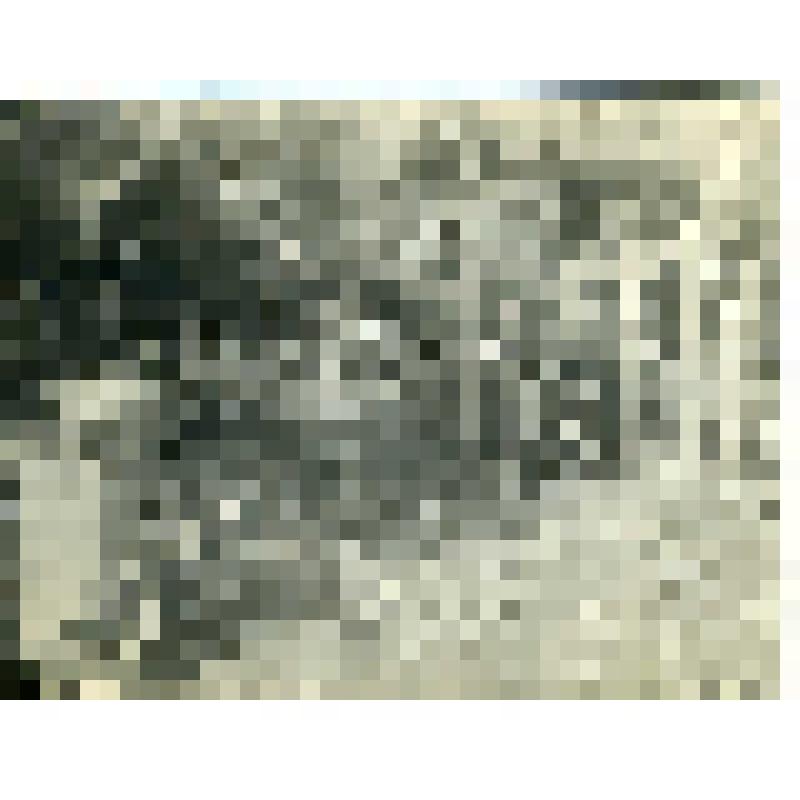 Хозяйство приобского остяка (ханты). Фотография