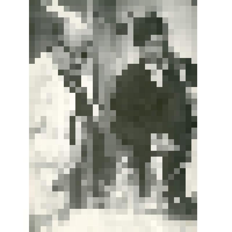 Фотография ч/б. Выполнение дипломной работы в химической лаборатории студентом отделения №1 ТПИ под руководством преподавателя Ветрова А.А