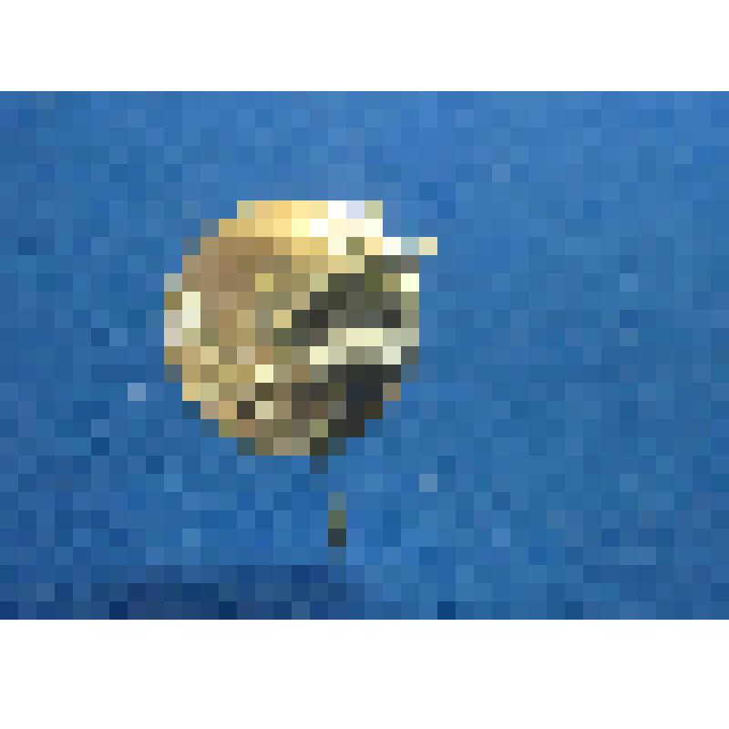 Значок. Москва. Голубь мира