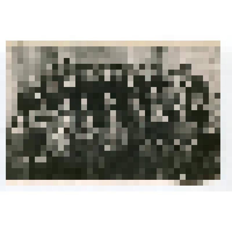 Фото групповое. Учащиеся 10 «а» класса