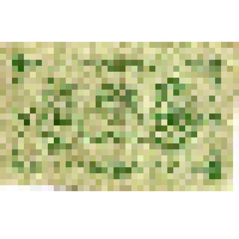 Банкнота Три рубля