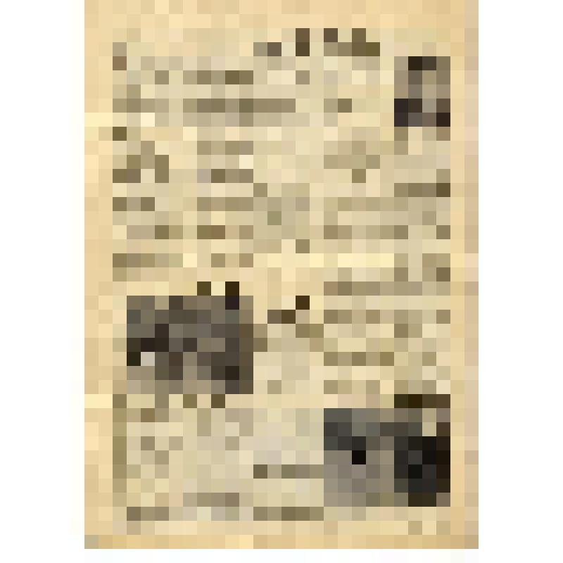 Газета. "Магаданский геолог". № 16 (75) от 11.06.1969