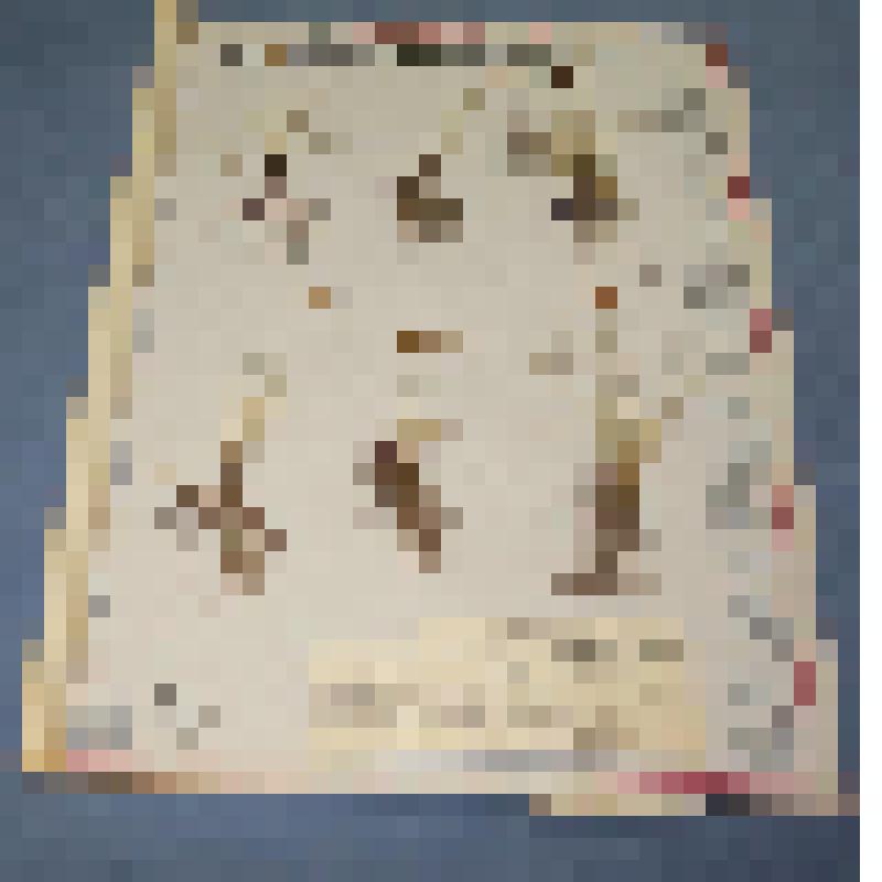 Ботаническая коллекция. Осока пустынная, на гербарном листе,  окрестности Абакана, у северного склона горы Самохвал