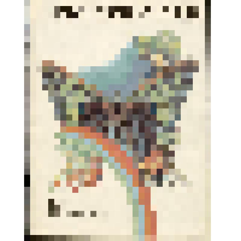 Журнал. Турист № 6 (270). Ежемесячный иллюстрированный журнал Ордена Трудового Красного Знамени. Калининский полиграфический комбинат Союзполиграфпрома при государственном комитете СССР по делам издательств, полиграфии и книжной торговли