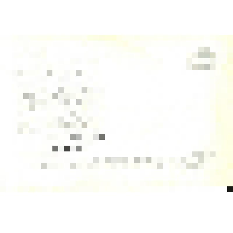 Фото-открытка цветная. Евгений Евстигнеев