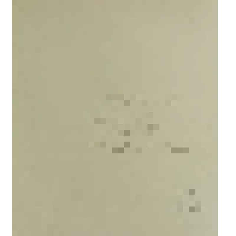 Женский портрет