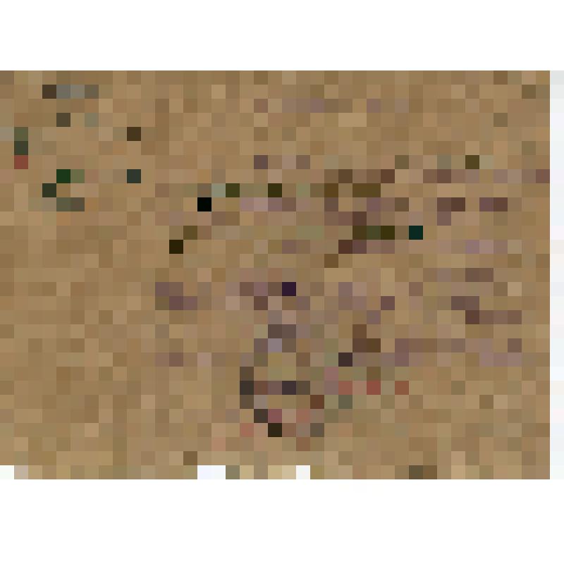 Увольнительный билет N919 красноармейца Уварова А.У