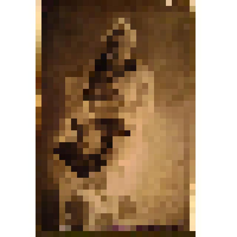 Негатив. Портрет женщины с грудным ребенком