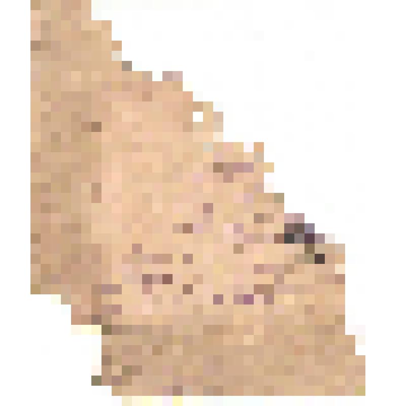 Письмо воинское. 1940 г