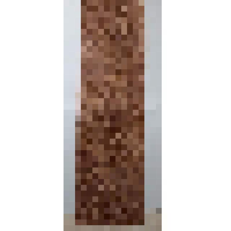 Эстампаж с писаницы Оглахты - 5