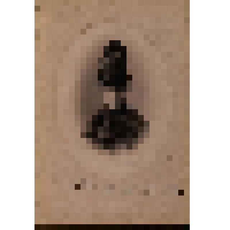 Крестовская Мария Всеволодовна (дочь писателя, в замужестве Картавцева; 1862-1910). Фотографии из архива Лукашевич К.В