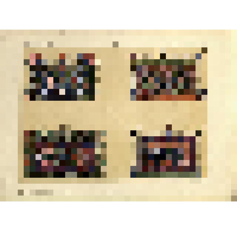 Лист XCVIII (98). Русский орнамент XVI в. Из альбома «История русского орнамента. С X по XVI столетие. По древним рукописям»