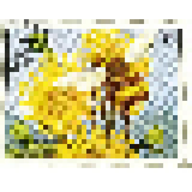 Марка почтовая на листе из 6-х марок. Шмель. 3 рияль
