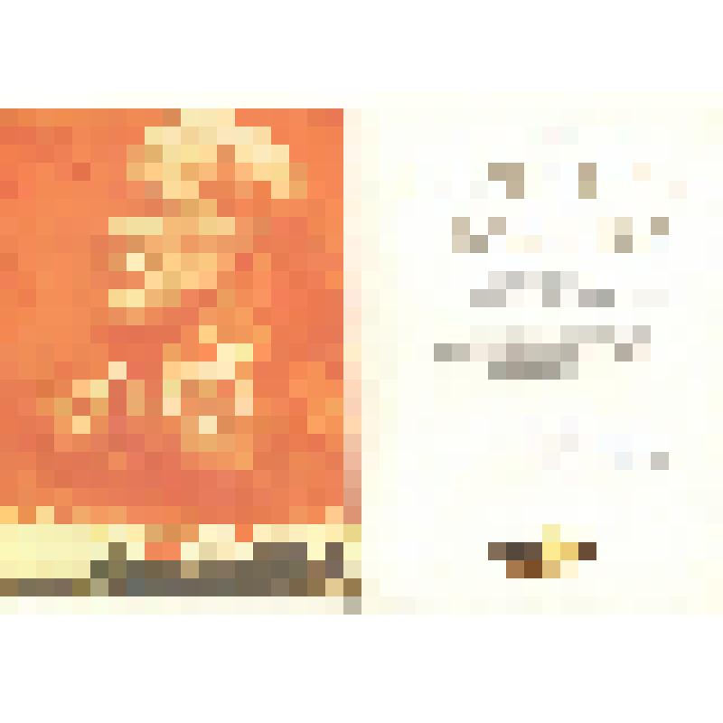 Грамота почётная полковнику Овчинникову В.В. за добросовестное выполнение служебного долга и в честь 45-й годовщины Победы