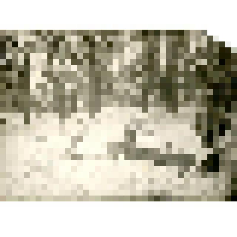 Фотография. Вал для загибания полозьев