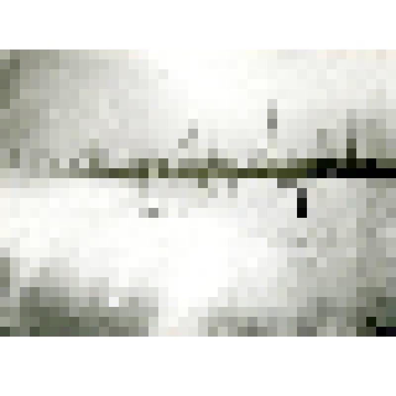 Фотография. Гольцы Джугджура