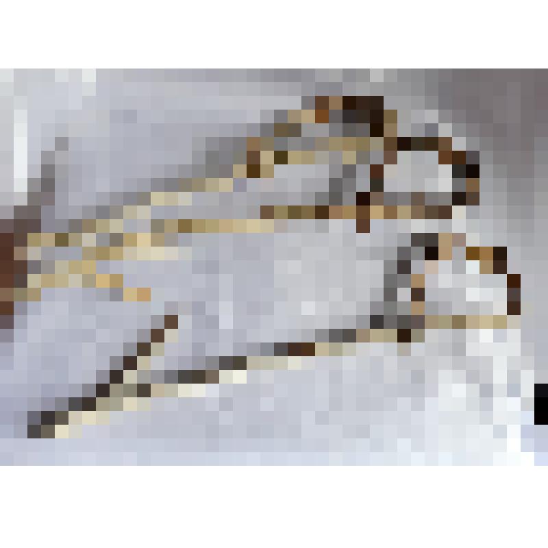 Крючки для подвешивания оленины