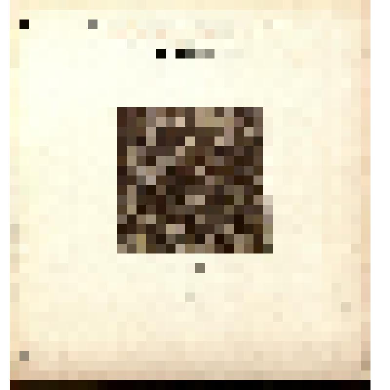 Зарисовка орнамента набойки. Из альбома «Рисунки с русских набоек, собранных И.А.Гальнбек». Часть 2