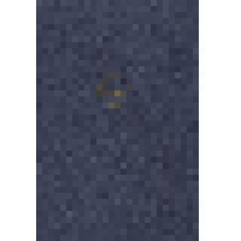 Диплом (№ 229)  АН СССР об избрании С.П.Королёва академиком АН СССР по отделению технических наук от 20 июня 1958 г