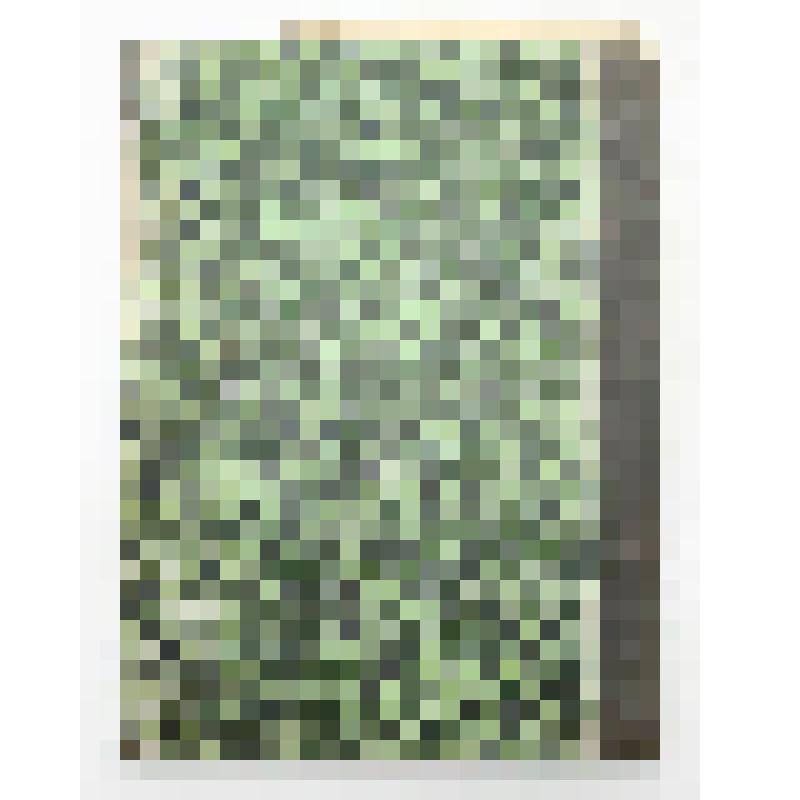 Книга. О повреждении хлебов гессенскою мухою и пильщиком и меры истребления этих насекомых. Типография П.В. Васильева