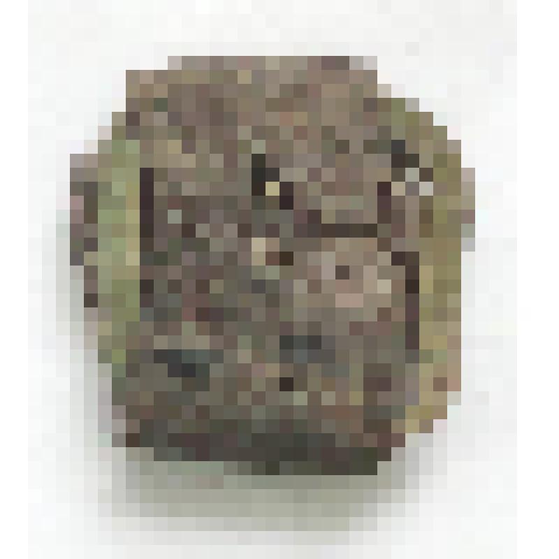 Пряжка с кожей