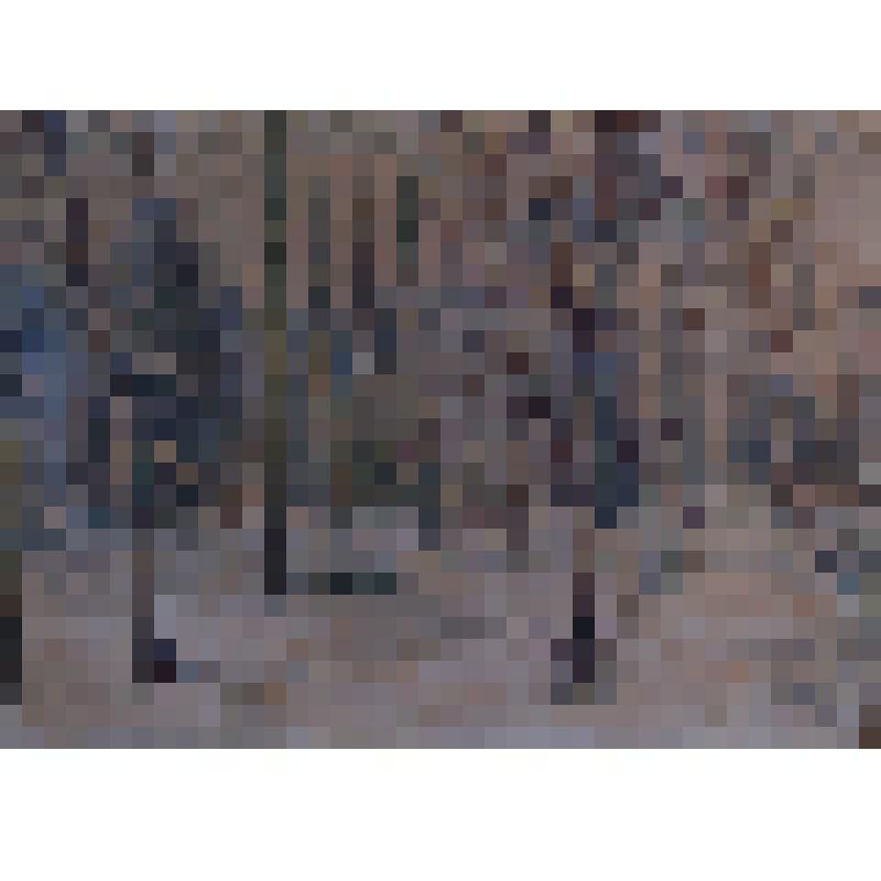 Картина. "Потеплело". Лысенко А.М