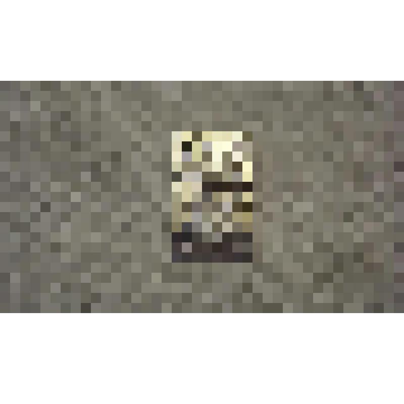 Значок " Волго- Балт им. В.И. Ленина"