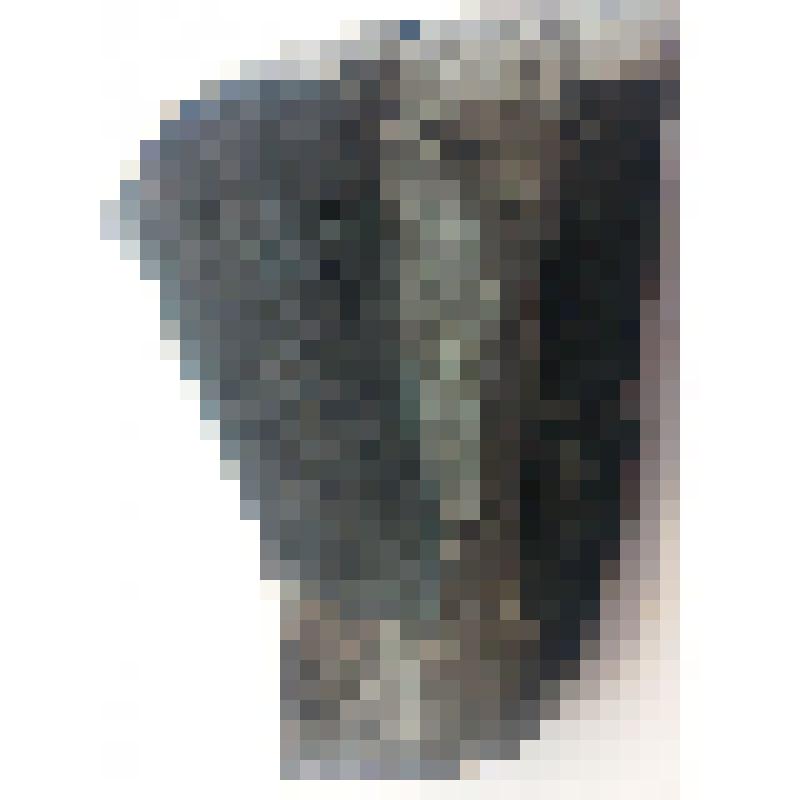 Отпечатки двух фрагментов листьев кордаитов