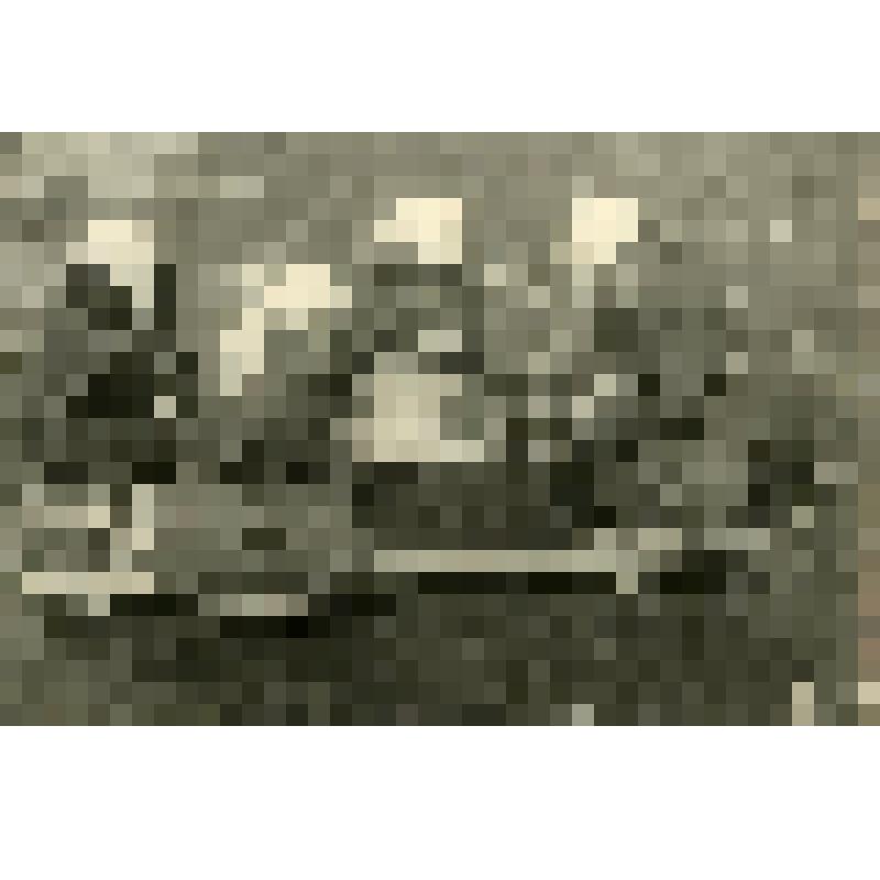 Занятия по ПВХО. Санитарное звено оказывает помощь "пострадавшему" в "отравленной зоне". Фотография