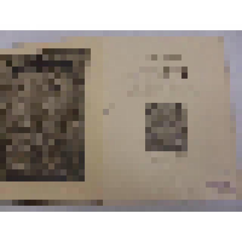 Книга   Florence . La Ville. - Le Baptistère. - La Cathédrale.- Le Campanile.- Santa Croce. - San Marco.- Santa Maria Novella. - La Galerie des Offices.  50 illustrations hors texte et 184  illustrations dans le texte. Couverture de Léon Jaussely