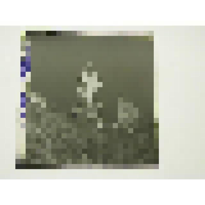 Памятник "Отец солдата". 9 мая 1978 г. Грузия, г. Гурджани Памятник "Отец солдата". Бердзенишвили М. И. Общий вид