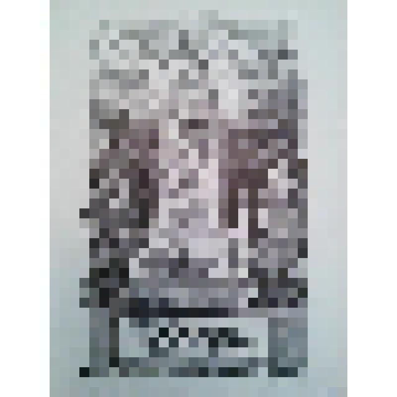 Храм-памятник Русской Славы, устроенный в память "Битвы народов" под Лейпцигом. Германия, г. Лейпциг. Храм-памятник в память "Битвы народов". 1912-1913. Покровский Владимир Александрович. Общий вид