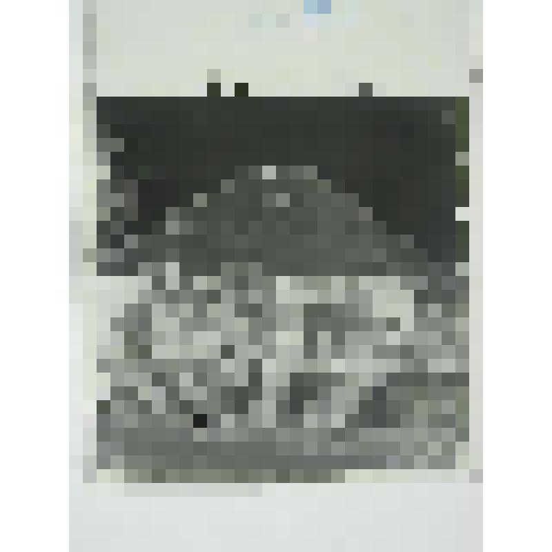 Дом Брусаловых. Ул. О.Кошевого, 14/43. 1905-1906 гг. Челябинская  обл., Кусинский р-н, г. Куса. Дом Брусаловых. Ул. О.Кошевого, 14/43. 1905-1906 гг. Фасад дома по ул. Республики