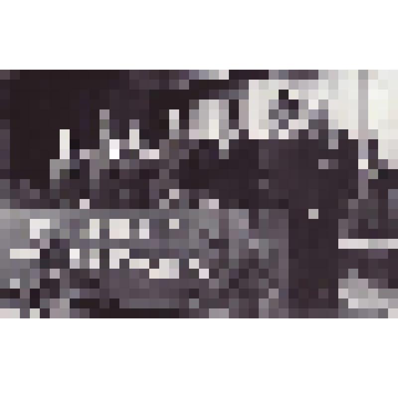 Фотография черно-белая. Президиум торжественного собрания сотрудников МВД по г.Братску