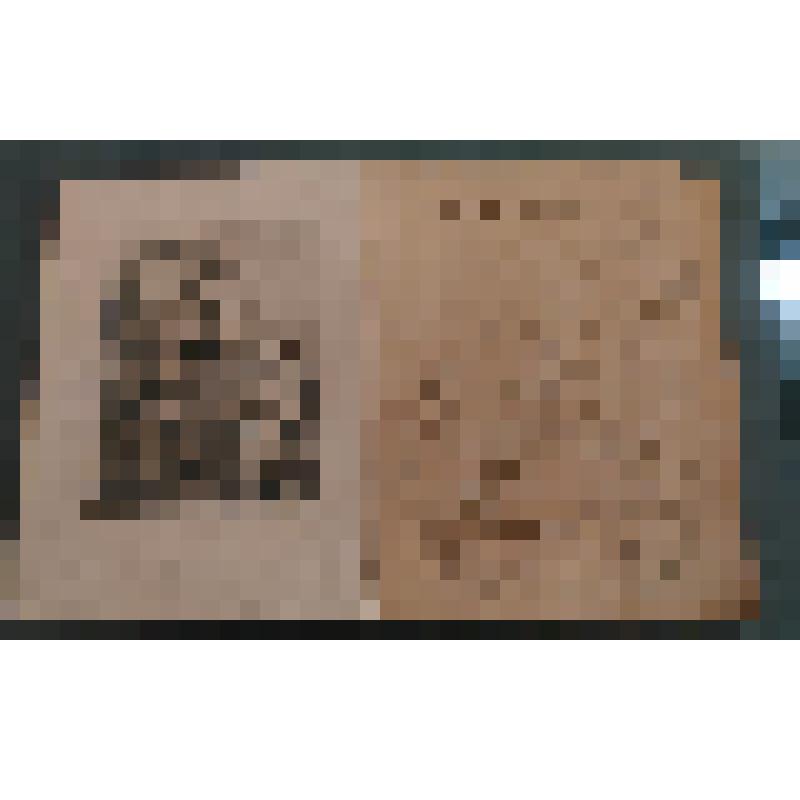 "Служу Родине" (с автографом автора)