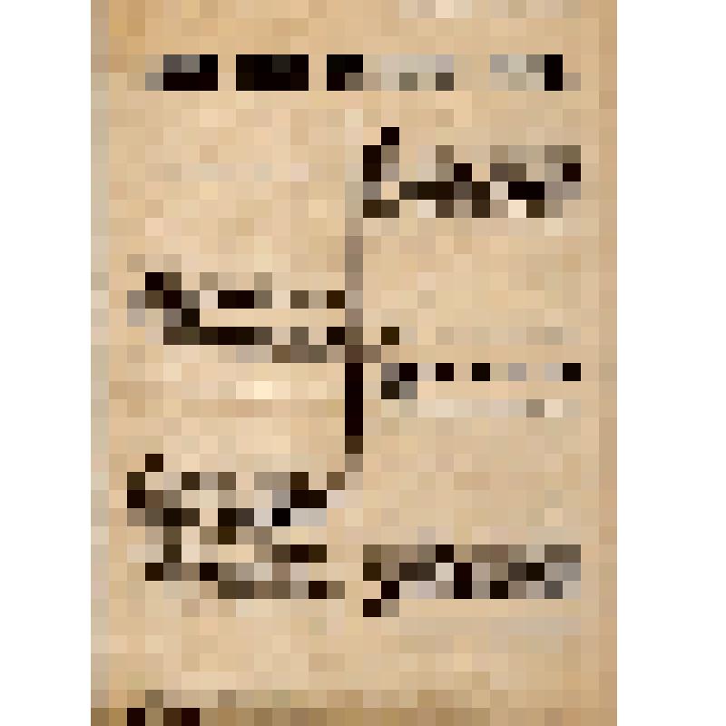 Политуправление ХII армии. Выдавайте Советской власти бандитов и грабителей