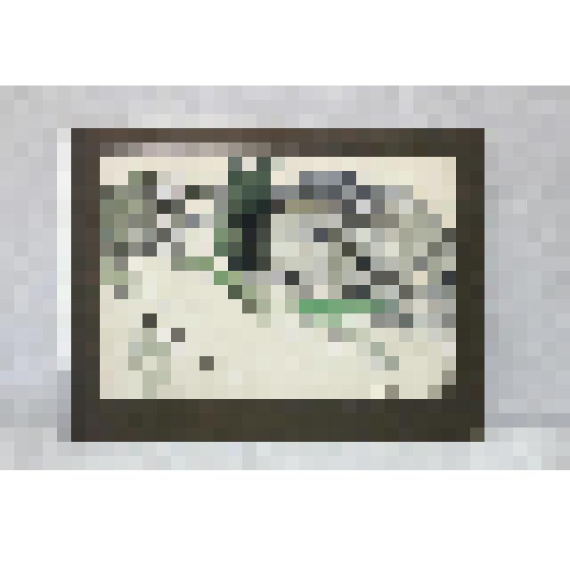 Рисунок №5 из серии рисунков "Грязовец". В бумажной рамке темно-коричневого цвета, из серии рисунков "Грязовец". Рисунок