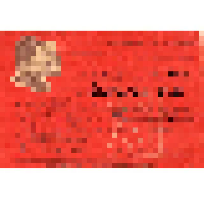 Мандат № 329 С.Т. Артегова, делегата XI Свердловской городской партийной конференции от Орджоникидзевской районной парторганизации