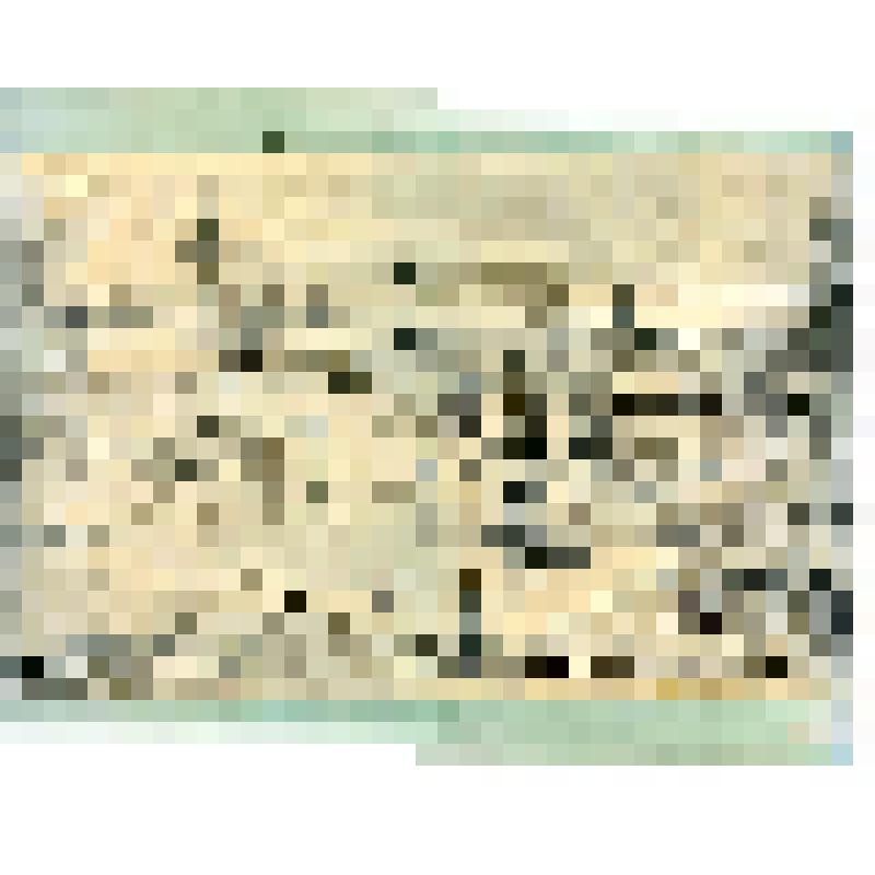 "Роминтен". На паспарту. Рисунок