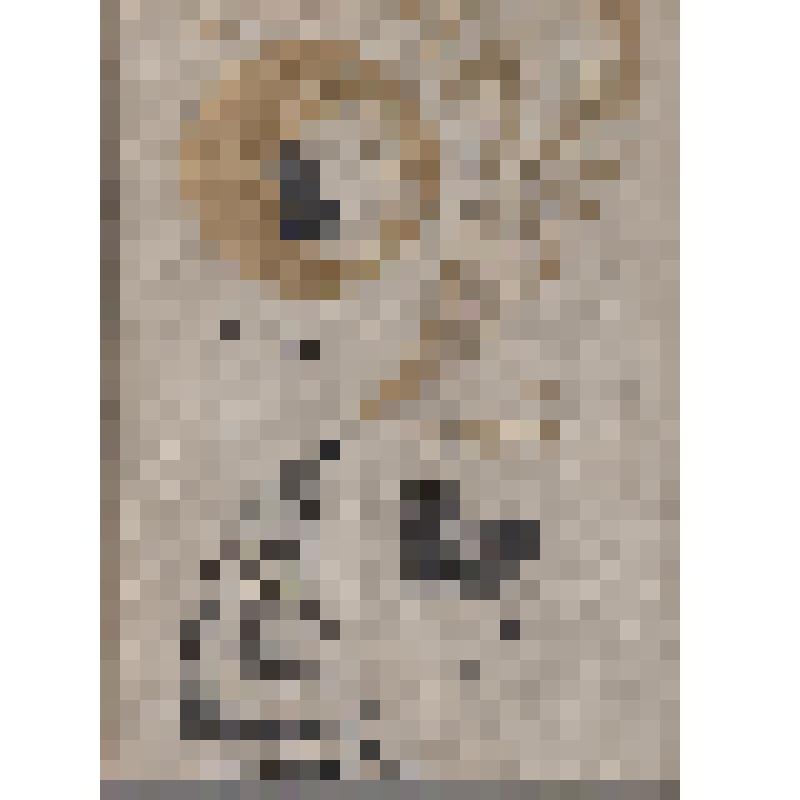 Книга. Гаврилов С.Г.
Вот вам мое сердце. 
Записки испытателя