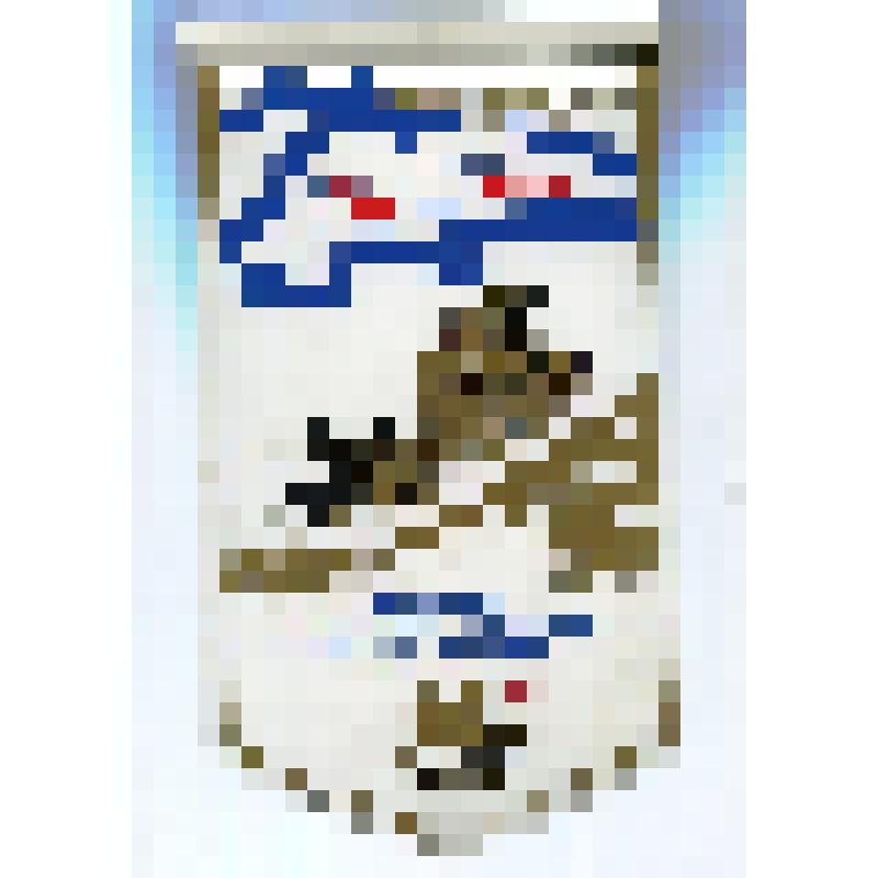 Вымпел "Северный флот России. 152 отряд специального назначения по борьбе с ПДСС.30лет"