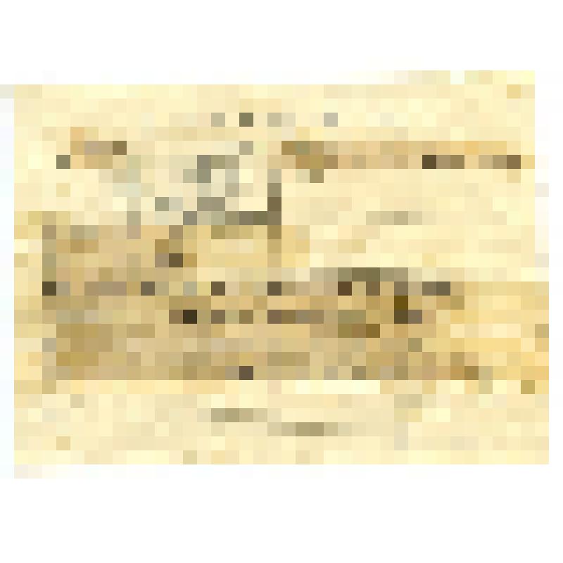 Телеграмма