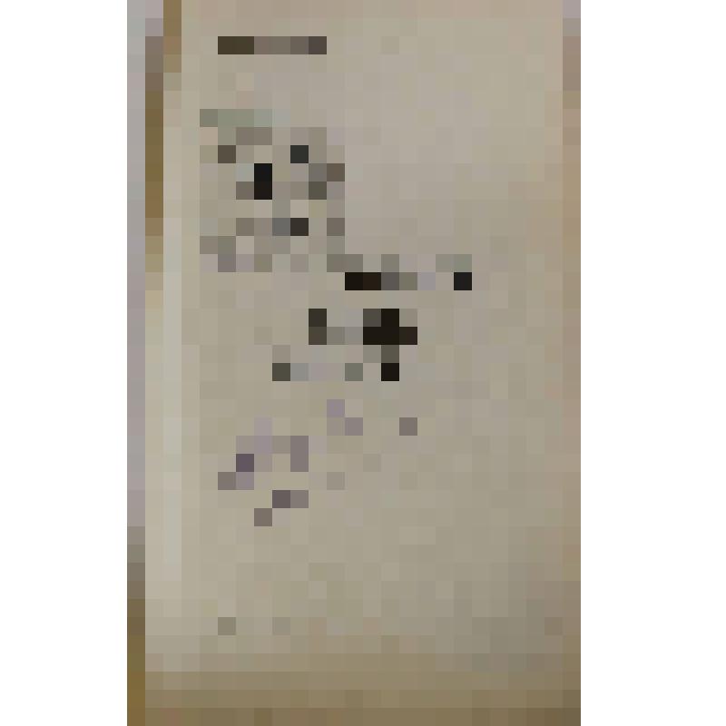 Книга. Враги наших врагов