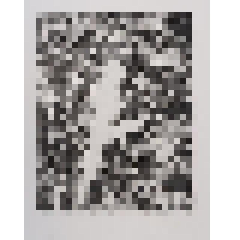 Военный советник. Из комплекта: Серия "Посеявшие ветер"