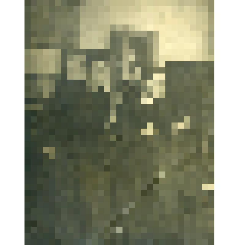 Фотография ч/б