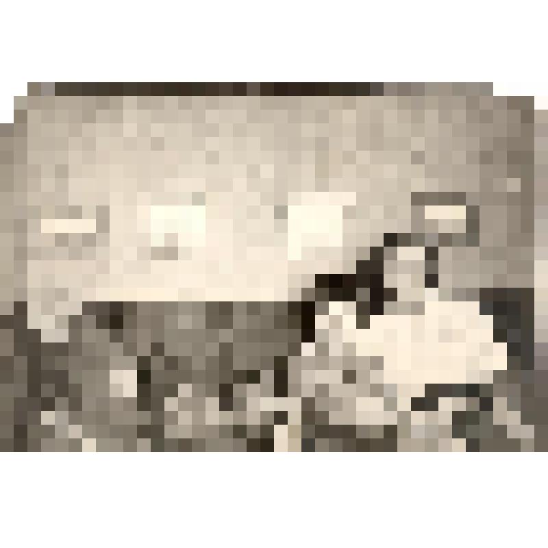 Фотография ч/б. Загорская -Паустовская Е.С. с сыном Вадимом в квартире на Б.Дмитровке. Начало 1930-хгг