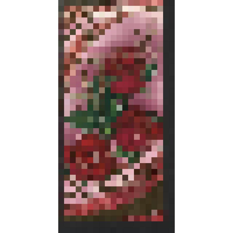 Поздравление неустановленного лица Богомоловой З. А. с [Днем рождения?]