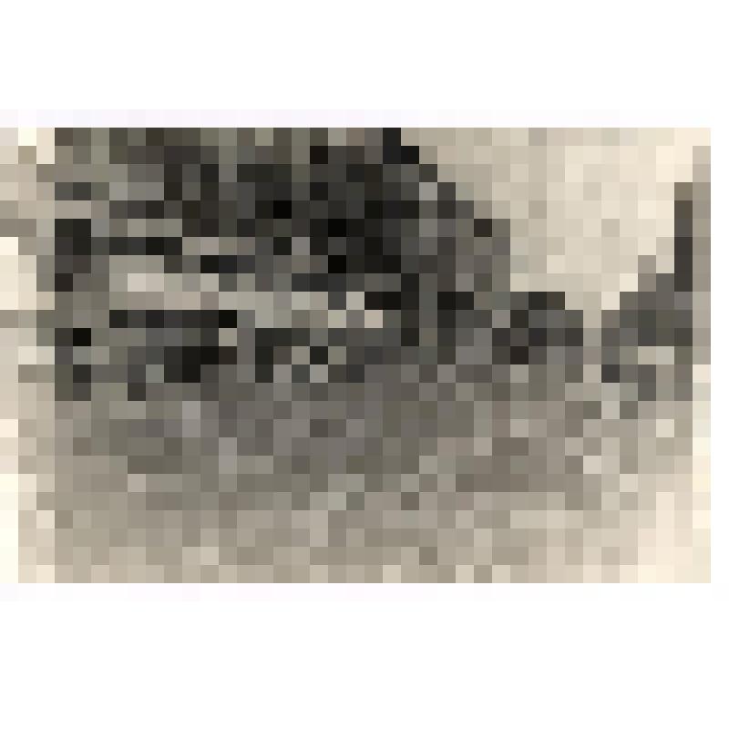 Фотография. Улица Поморская