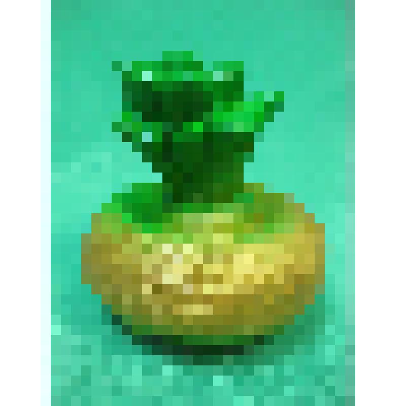 Игрушка  резиновая «Репка»