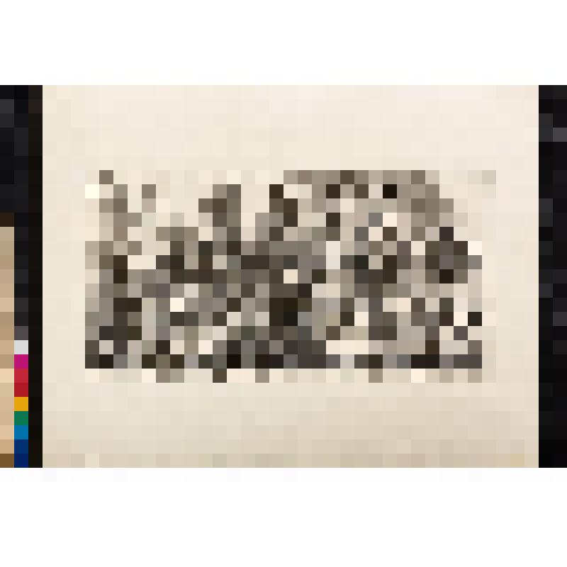 Встреча Гудибраса со Скиммингтоном. Лист XII из серии "Гудибрас". 1726, из альбома «The Works of William Hogarth»